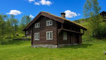 Ulkopuoli