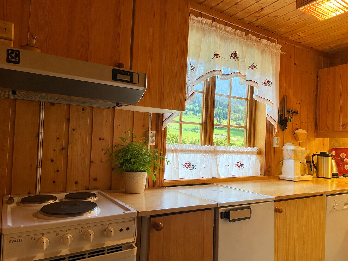Fridge, oven, dishwasher, coffee/tea maker