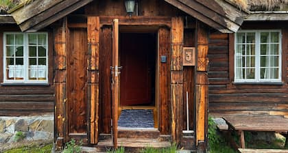 Mountain cabin 3 in Ål with Sauna