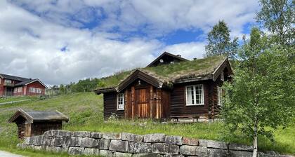 Mountain cabin 3 in Ål with Sauna