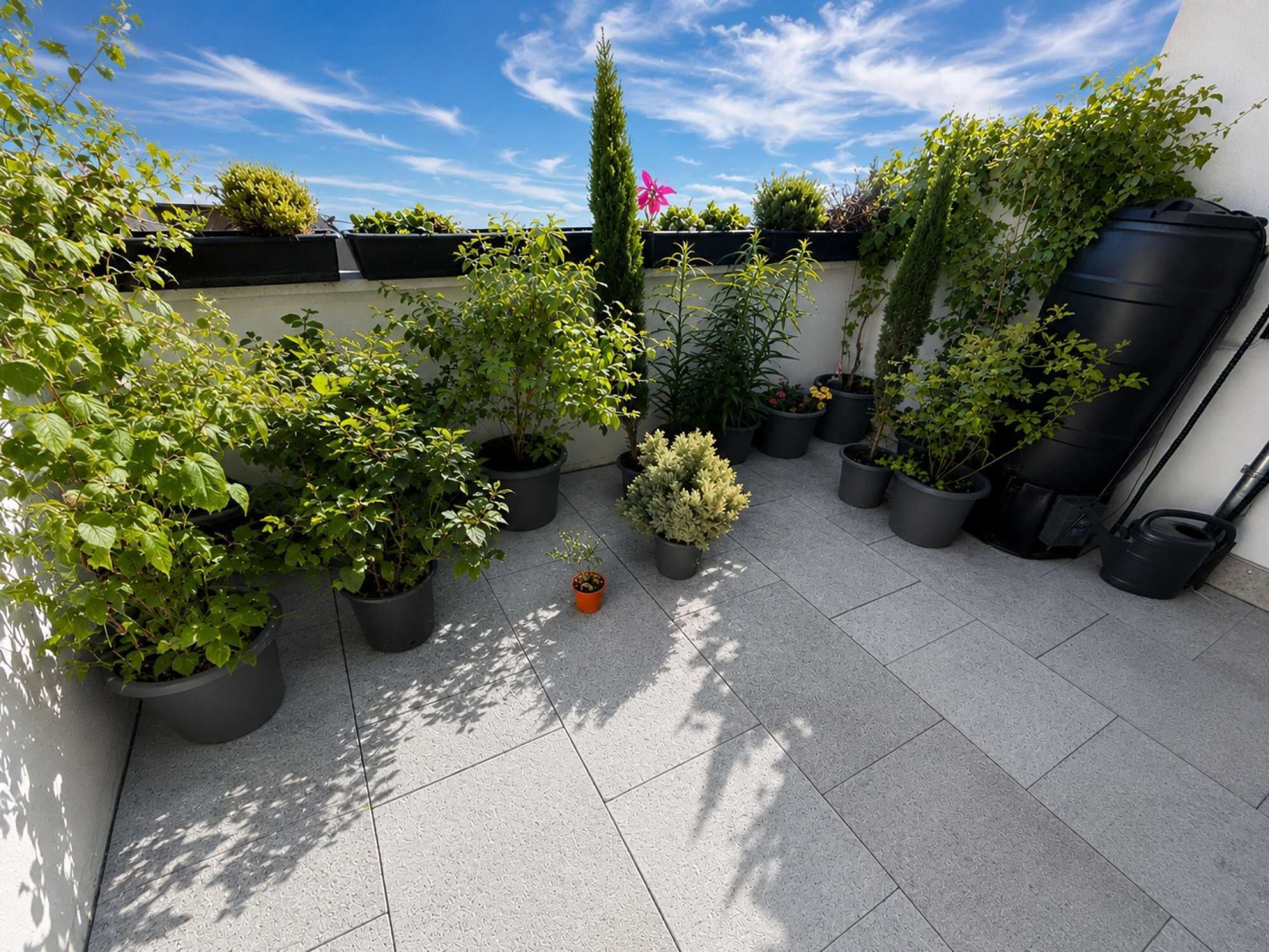 Terraza o patio