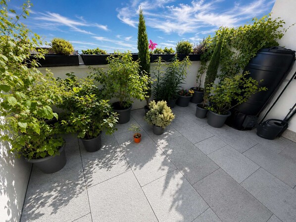 Terrass/Patio