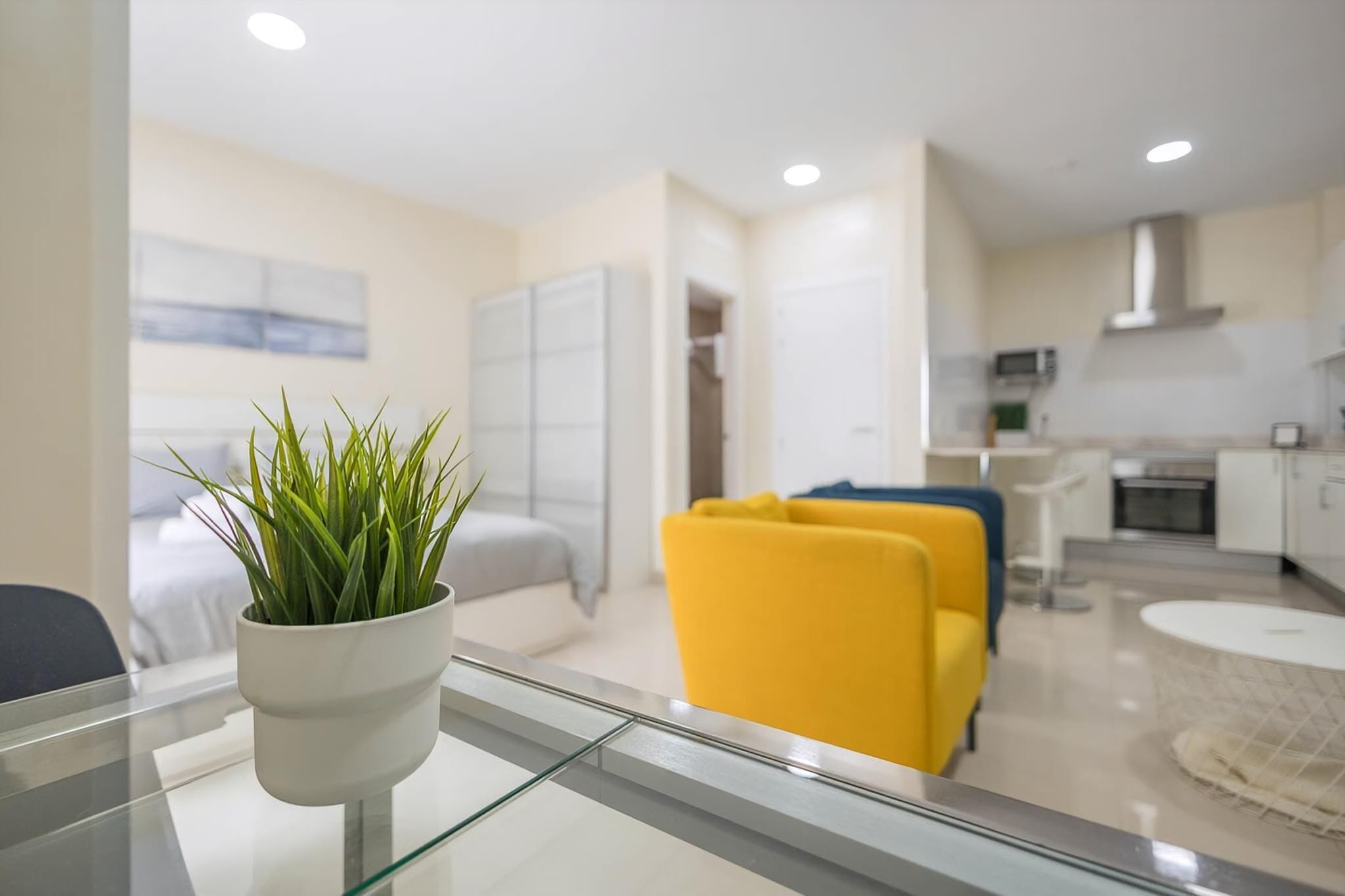 Estudio (Studio Apartment)