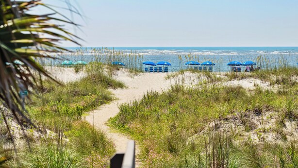 Ein Strandweg führt zu Strandsonnenstühlen und dem Meer.