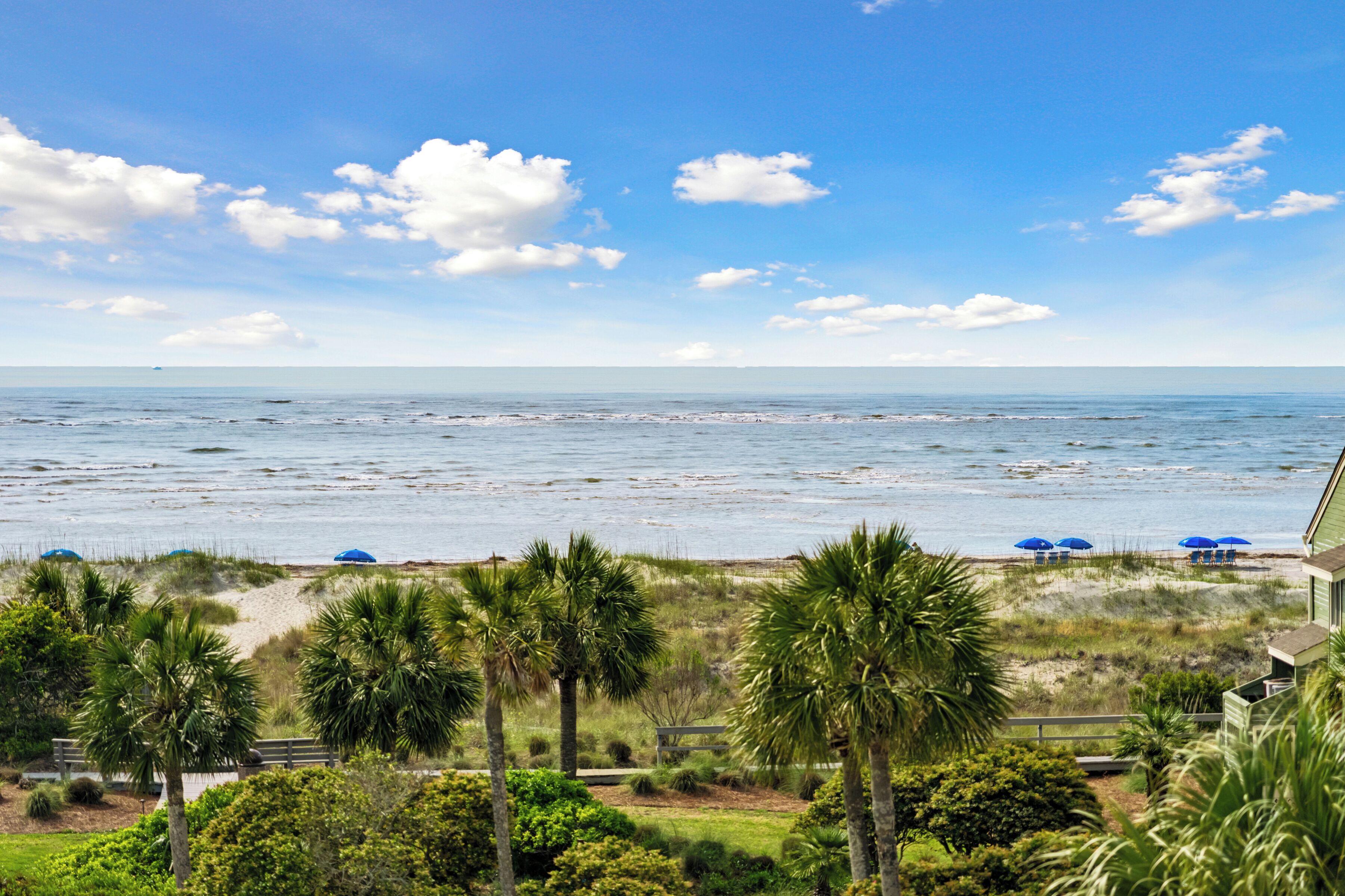 A beach view with palm trees, a sandy area with umbrellas, and a clear sky.