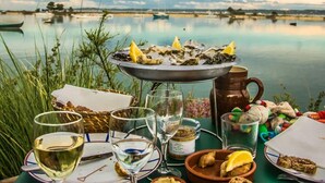 A table set with oysters, wine glasses, and a jug, overlooking a calm body of water with boats. - Apartment in Porspoder Near Plage du Bourg (Porspoder)