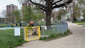 Uklassifisert bilde, 2 av 13, knapp