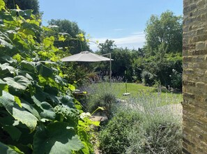 Ein Garten mit einer Pergola, verschiedenen Pflanzen und einer Backsteinmauer.