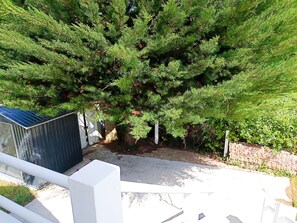 Ein Wohngebiet mit einem großen immergrünen Baum, einem Schuppen und einem gepflasterten Einfahrt.