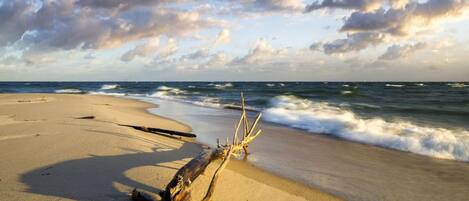 A beach with a driftwood log in the sand, waves approaching the shore, and a partly cloudy sky.