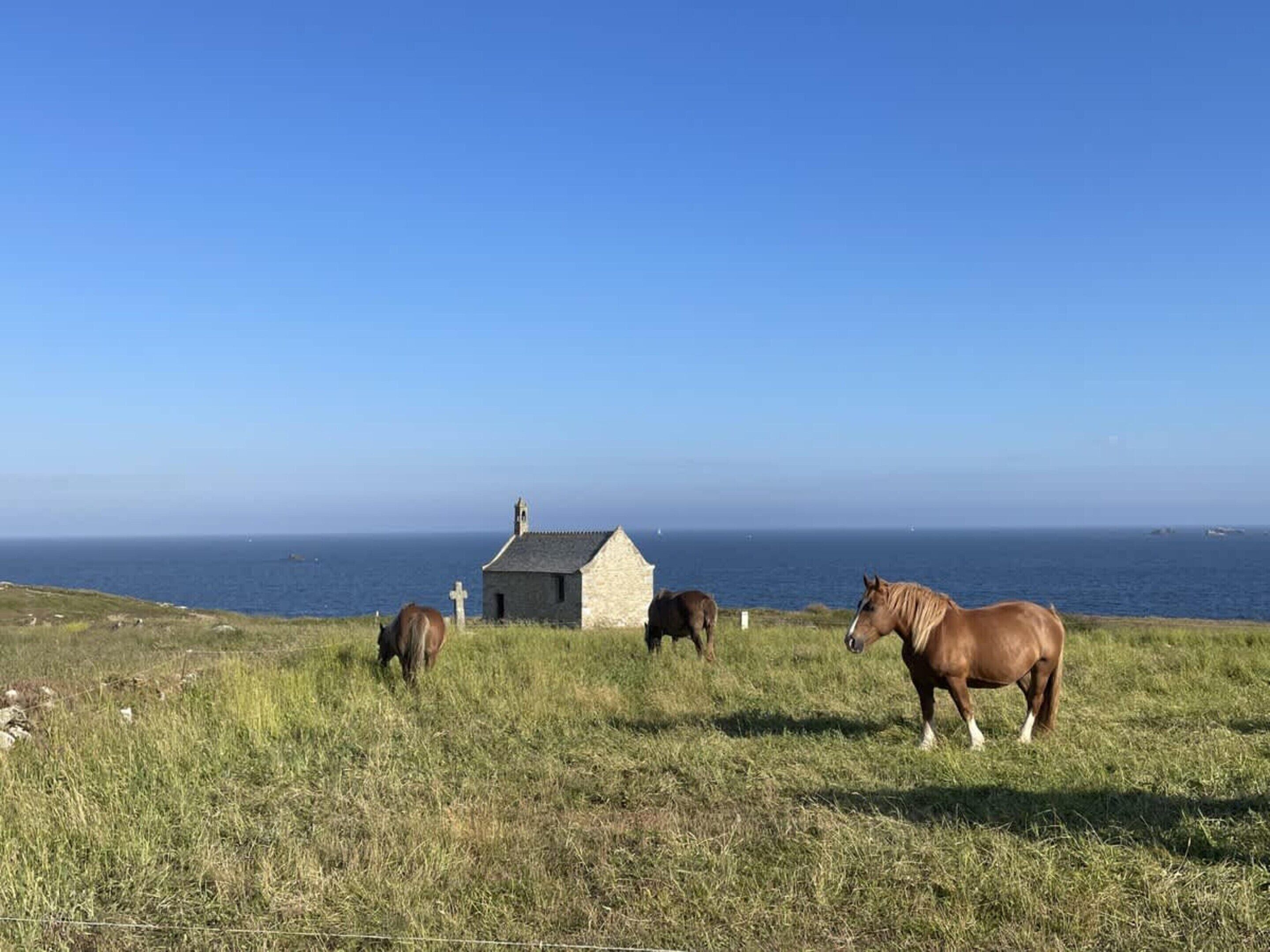 Un paisaje costero con un edificio de piedra, tres caballos y el mar al fondo.