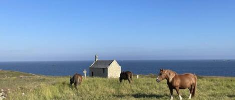Un paisaje costero con un edificio de piedra, tres caballos y el mar al fondo.