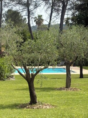 A pool area with trees and a clear sky. - gsbhdfbhdfhfhdf (Mougins)