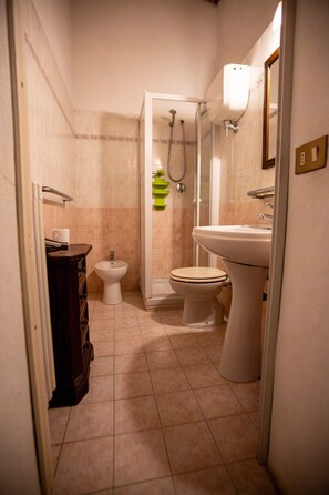 A bathroom with a toilet, bidet, and shower. - Toskana Holiday Home With Pool (Siena)