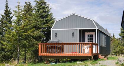 Whale Watch, Fish & Hike Glaciers! Homer Apartment