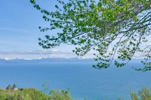 A lake with mountains in the background, surrounded by greenery. - Whale Watch, Fish & Hike Glaciers! Homer Apartment (Homer)