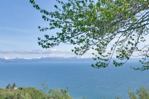 A lake with mountains in the background, surrounded by greenery. - Fish Kachemak Bay! Adventure Base Near Homer Spit (Homer)
