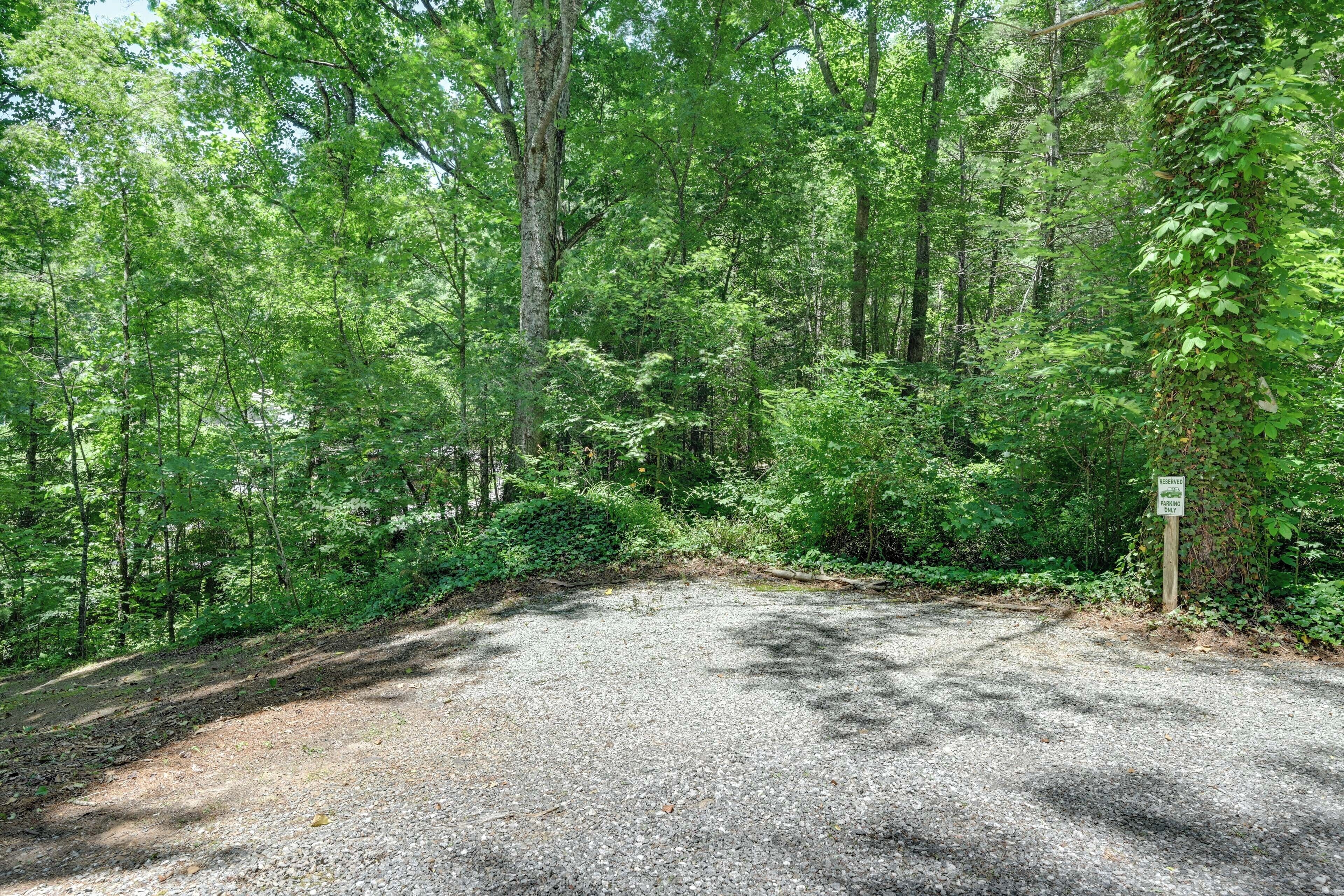 A gravel parking area surrounded by dense forest.