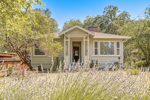 A single-story house with a front porch, surrounded by a garden with tall grasses and trees.