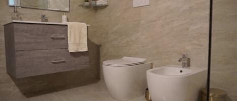 Shower, hair dryer, bidet, towels