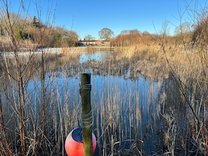 Ein stiller Teich mit Schilf, einem hölzernen Pfosten und einem Gebäude in der Ferne.