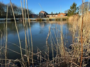 Ein ruhiger See mit Schilf, ein Haus im Hintergrund und klarer Himmel.