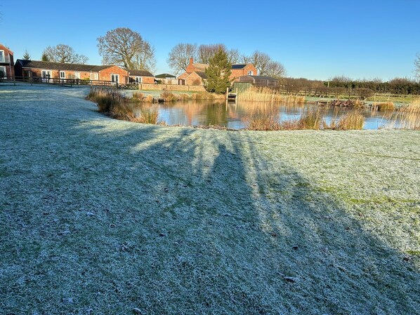 A residential area with a pond, houses, and a clear sky.