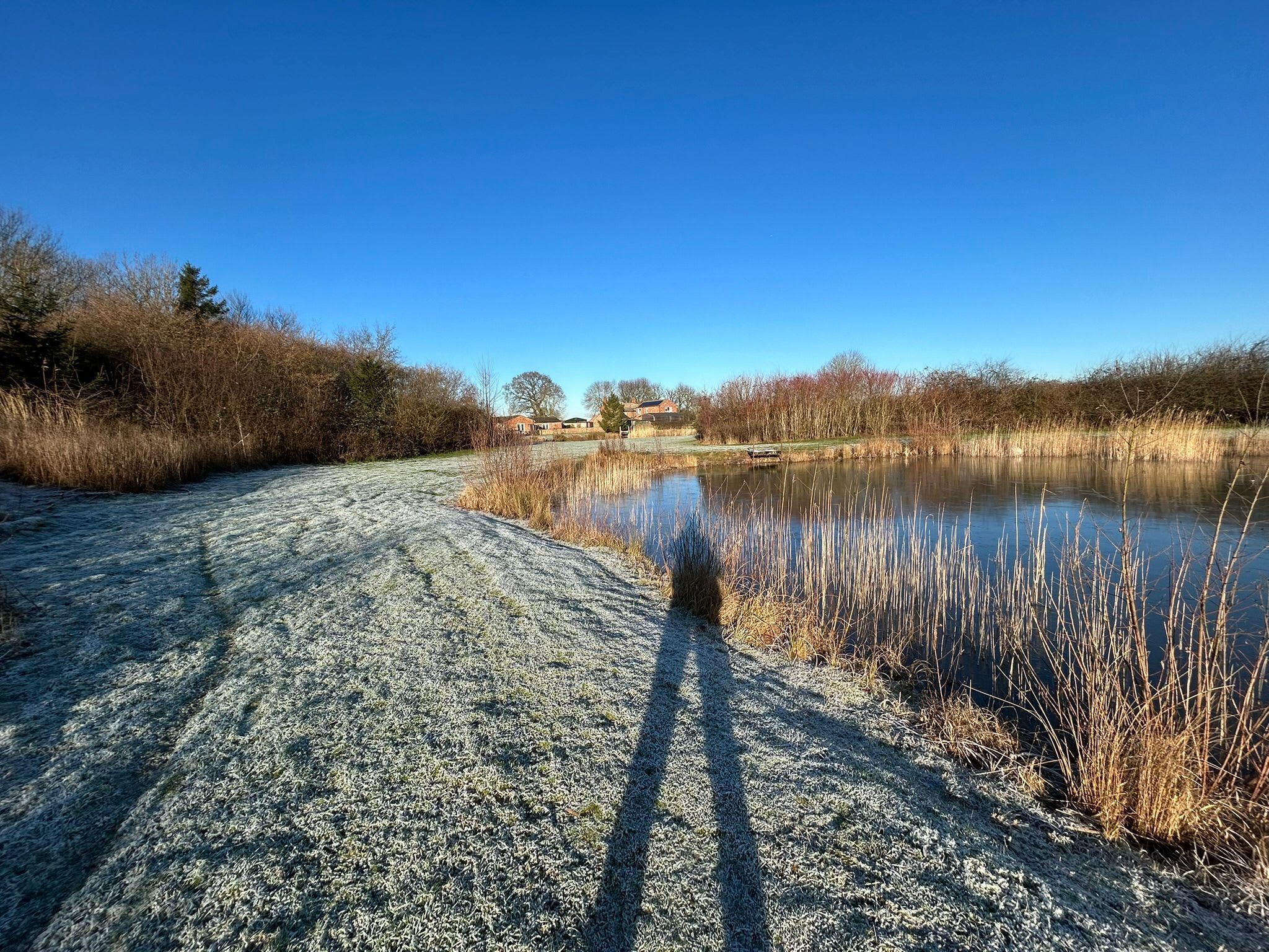 A clear view of a frozen pond with a path leading to a house in the background.