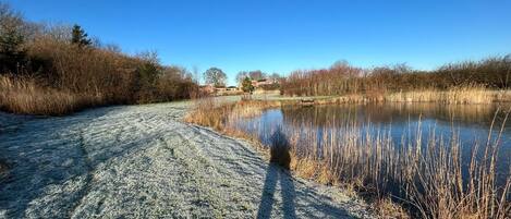 A clear view of a frozen pond with a path leading to a house in the background.