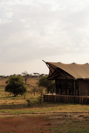 A building with a large overhanging roof, surrounded by a dry landscape with sparse trees. - Kuona Serengeti (Serengeti)