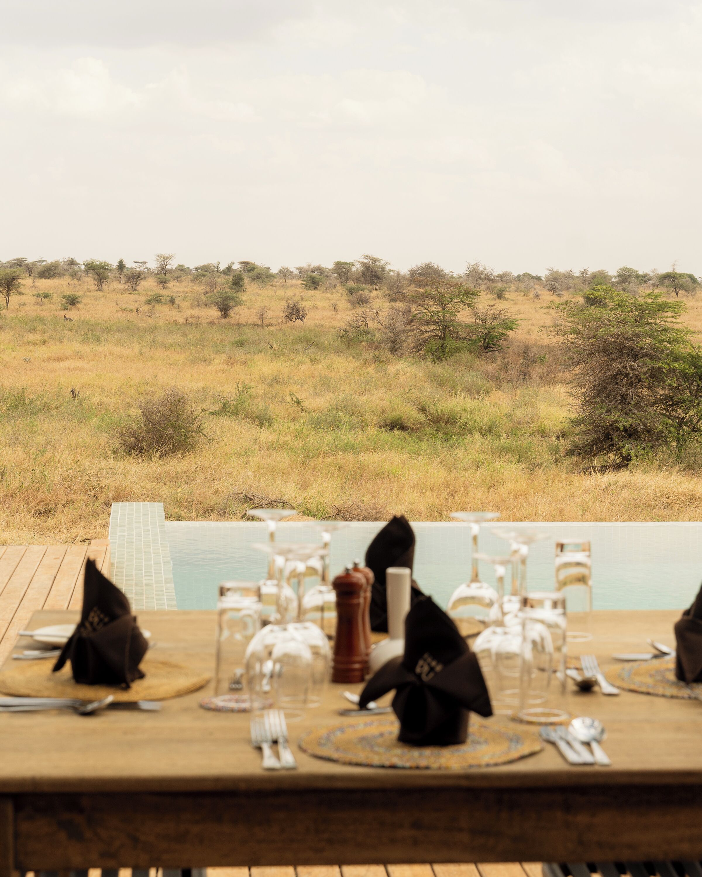 Ein Esstisch, gedeckt für eine Mahlzeit, mit Blick auf eine Savannenlandschaft.