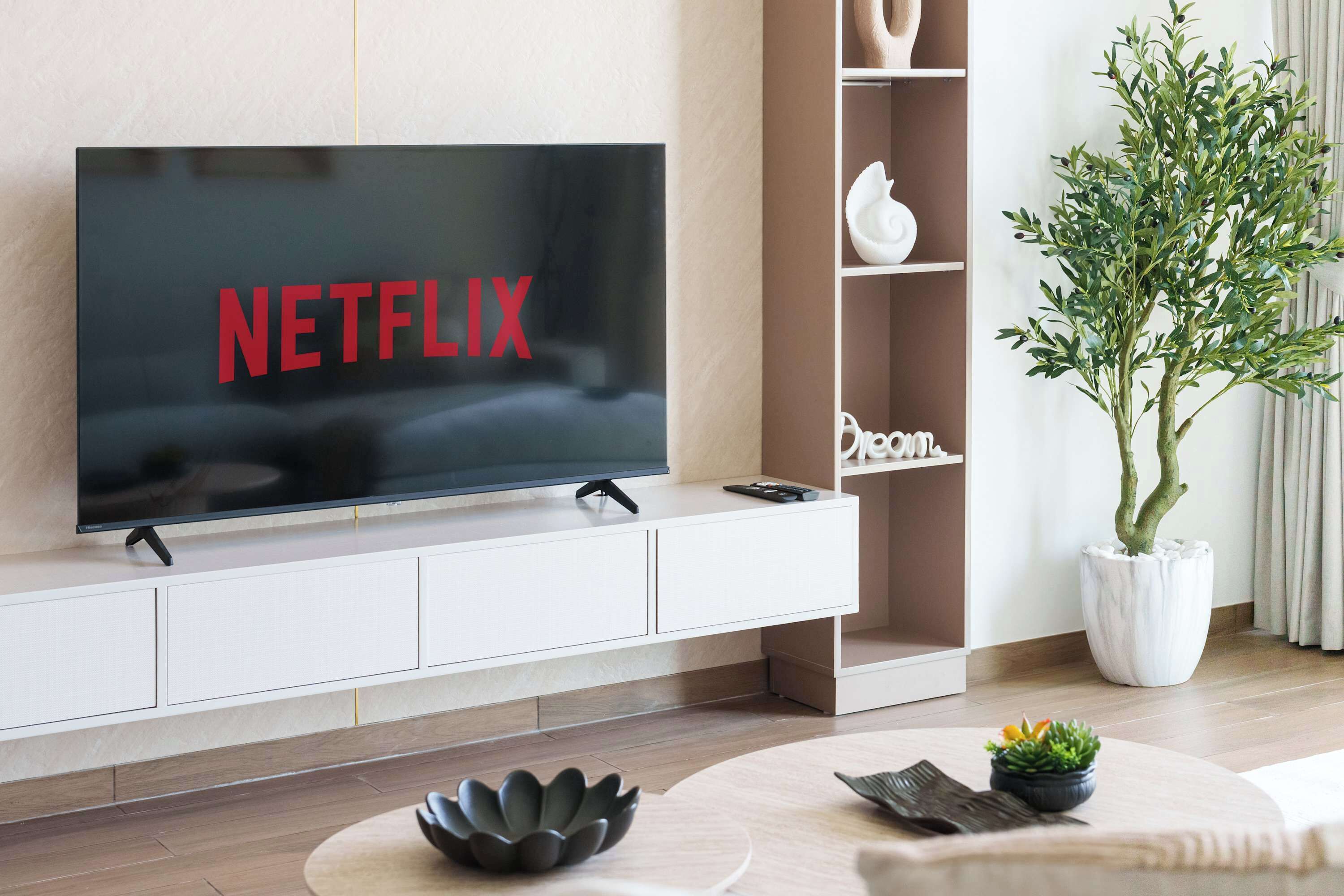 Una sala moderna con un televisor de pantalla plana mostrando 'NETFLIX', un mueble de entretenimiento blanco, una planta en maceta y un cuenco decorativo sobre una mesa de centro de madera.