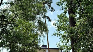 Een modern gebouw met balkons, omringd door weelderige begroeiing.
