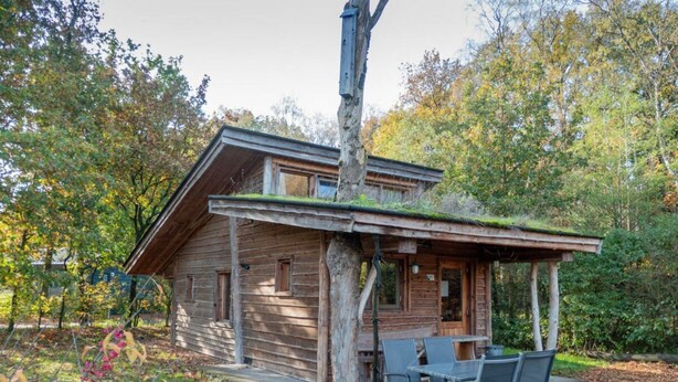 Een rustieke houten blokhut met een overdekte veranda, een eettafel en stoelen.