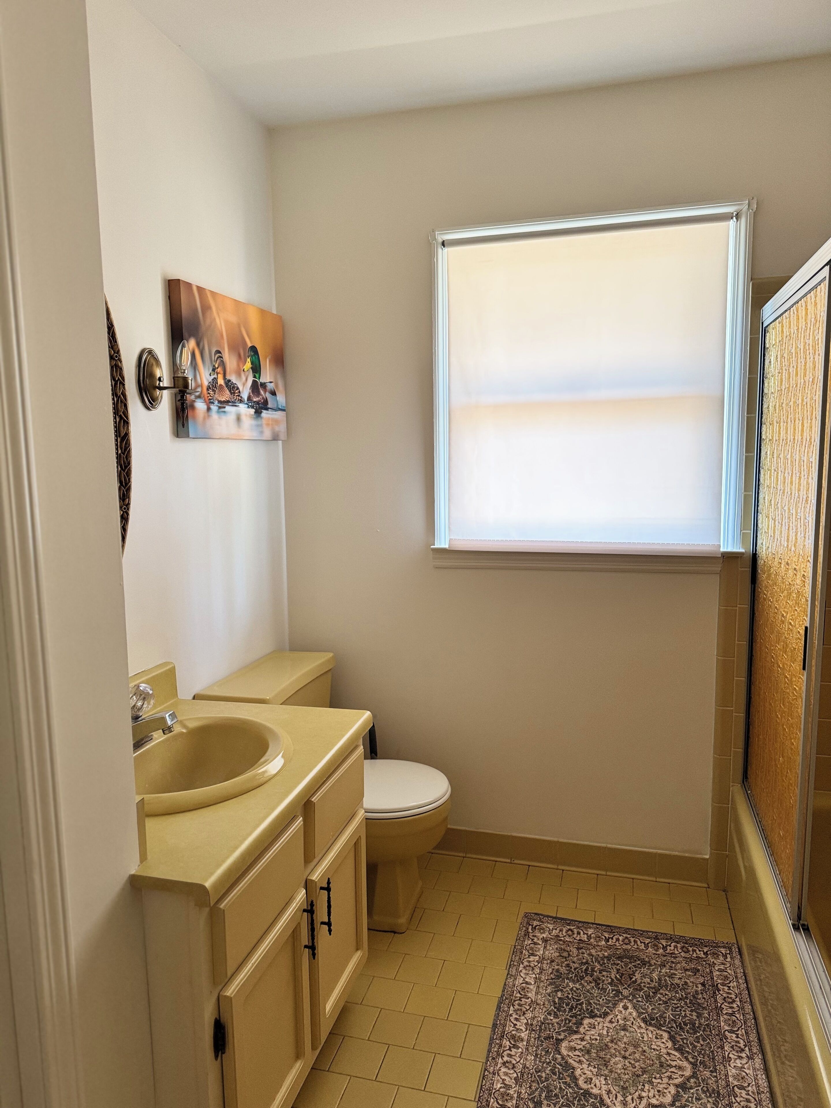 Secadora de cabello, toallas, papel de baño 