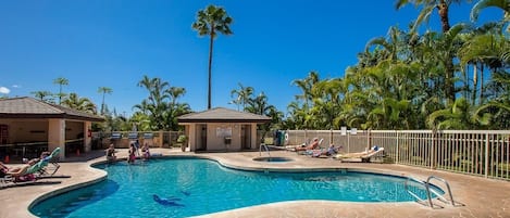 Una piscina con sillas de descanso y palmeras.