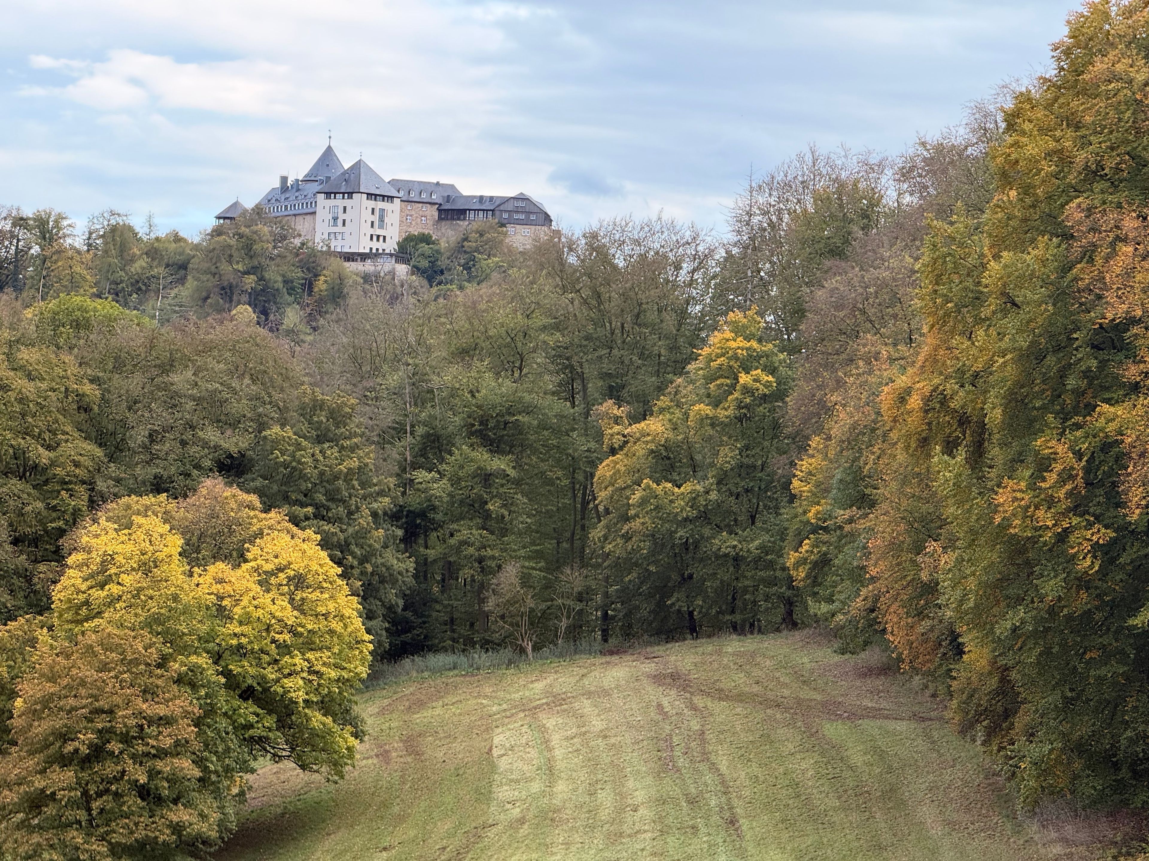 Un edifici gran i antic envoltat de bosc dens.