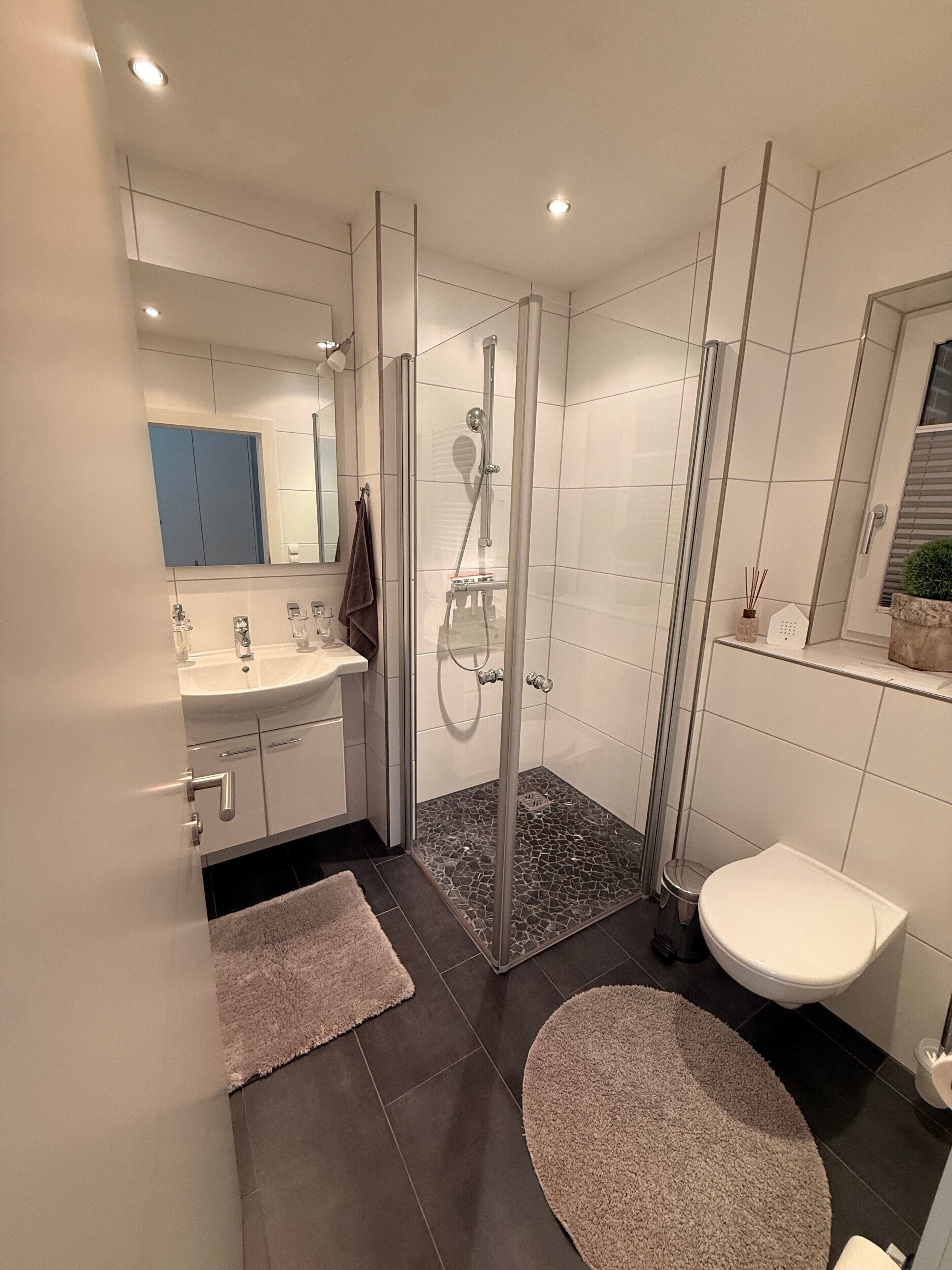 Dusche, Haartrockner, Handtücher