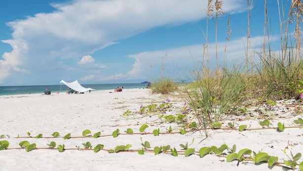 Een strand met wit zand, helderblauwe lucht en schaarse begroeiing.