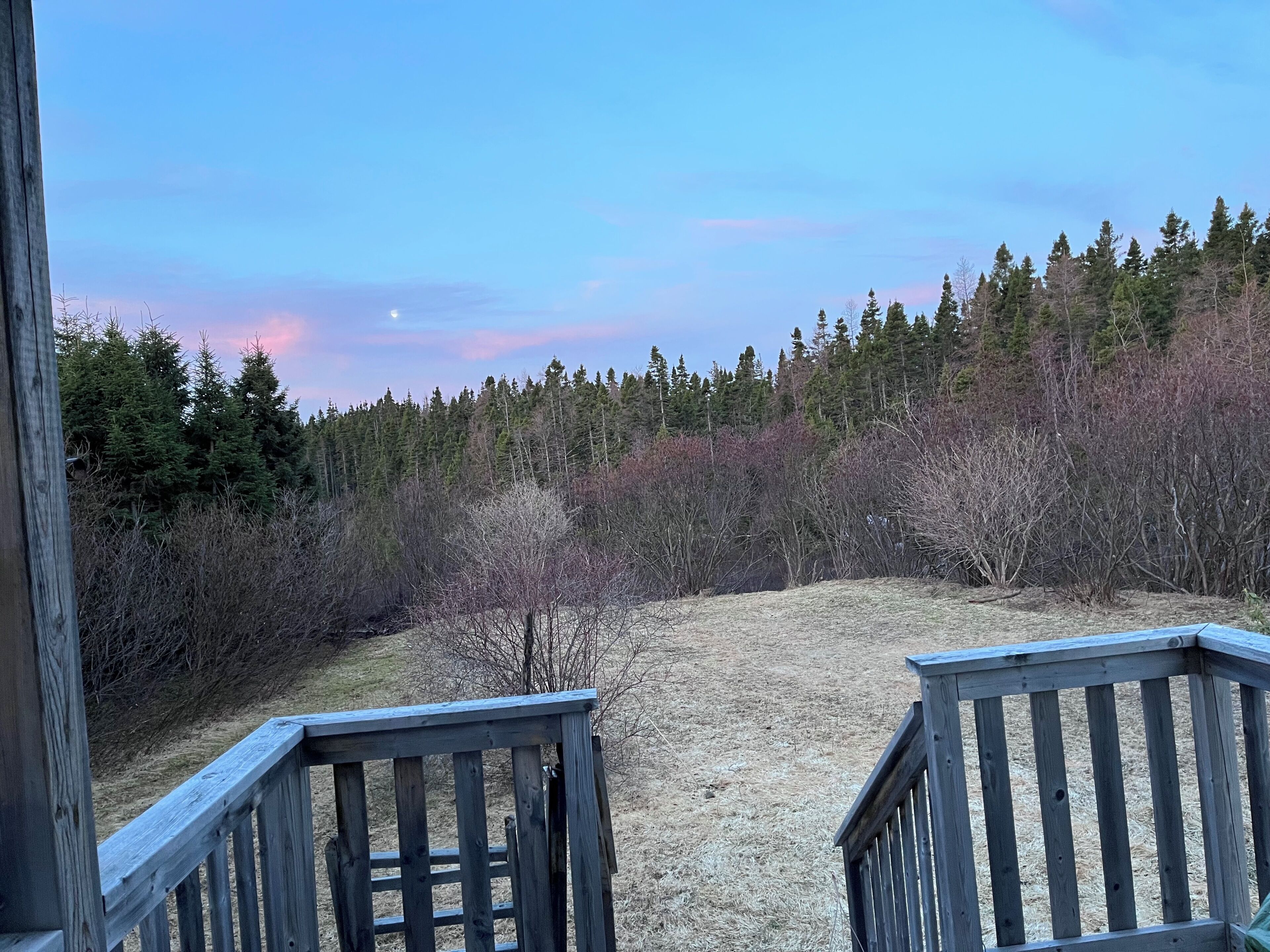 Terrain de l’hébergement 