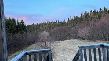 Terrain de l’hébergement