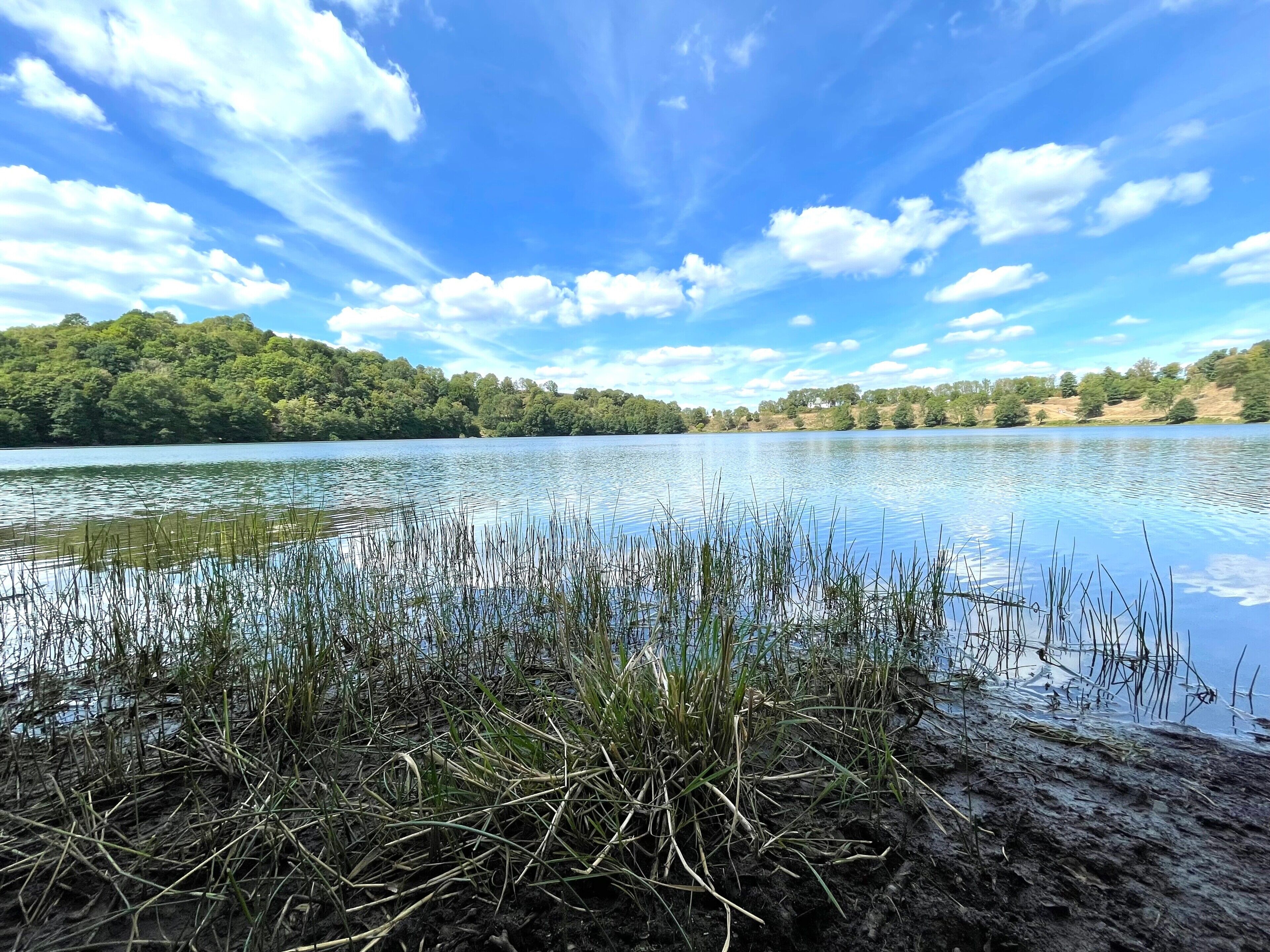 Ein See mit bewaldeter Uferlinie und blauem Himmel.