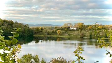A serene lake with a white house in the background, surrounded by lush greenery.
