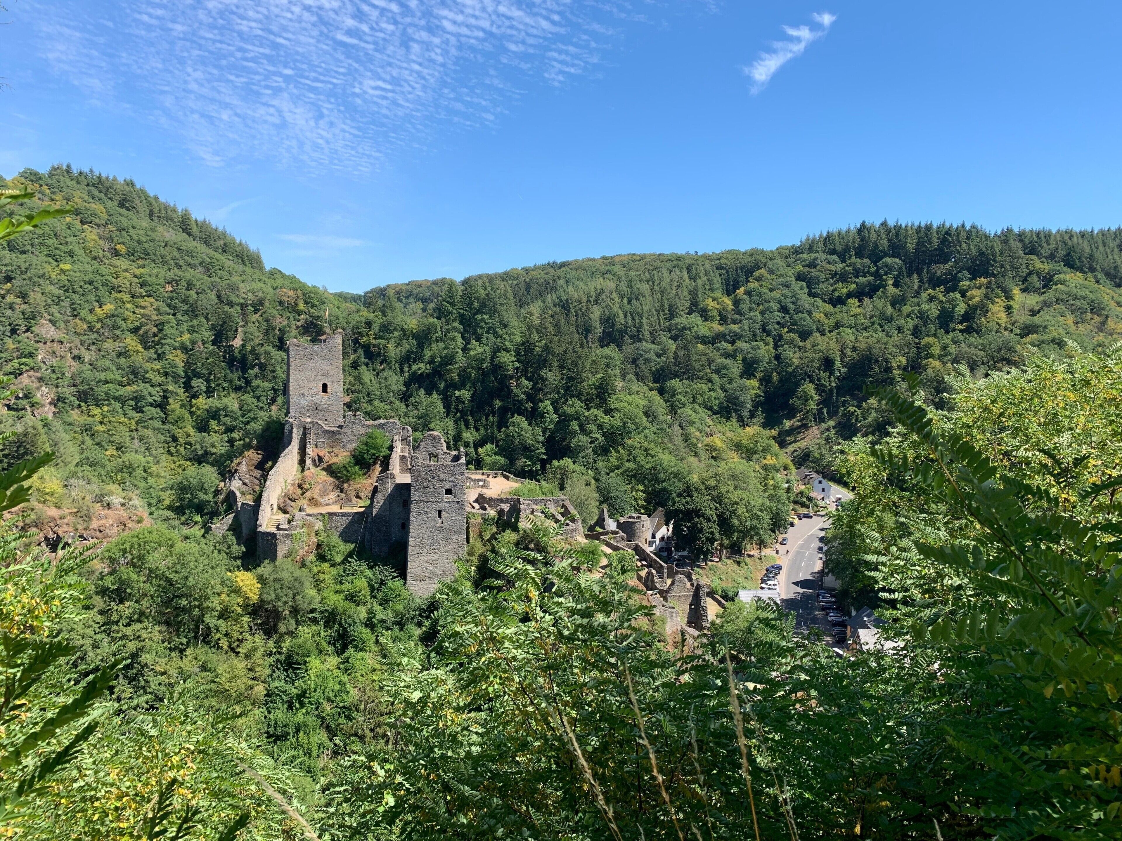 A historic stone castle ruin surrounded by dense forest.