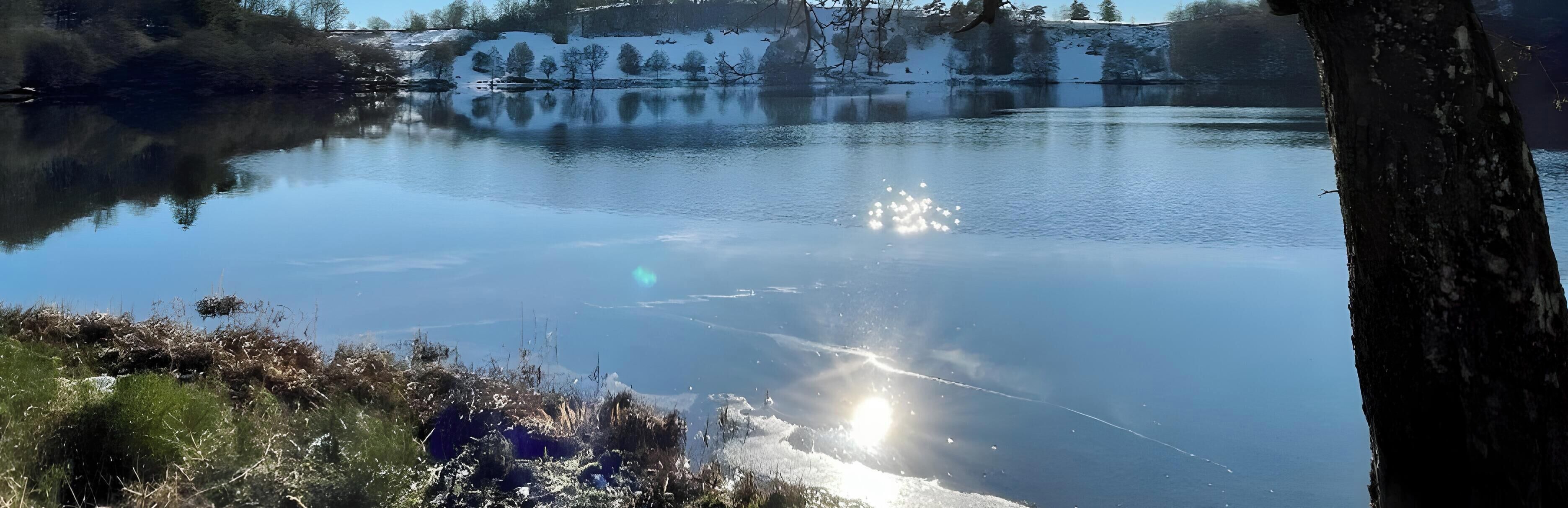 Un lac paisible où se reflètent les arbres, avec une colline enneigée en arrière-plan.