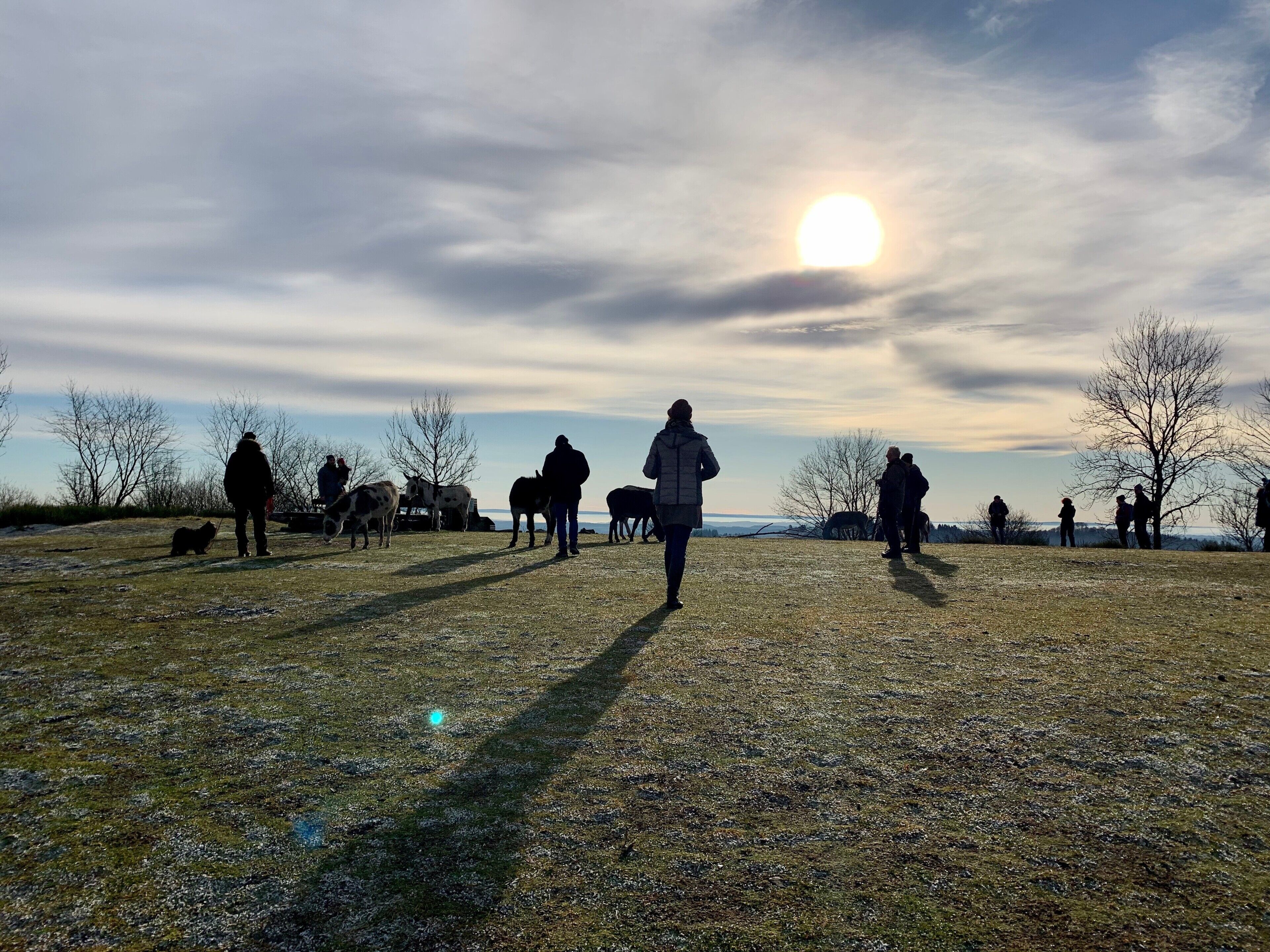 A rural landscape with people and animals, a clear sky, and a setting sun.