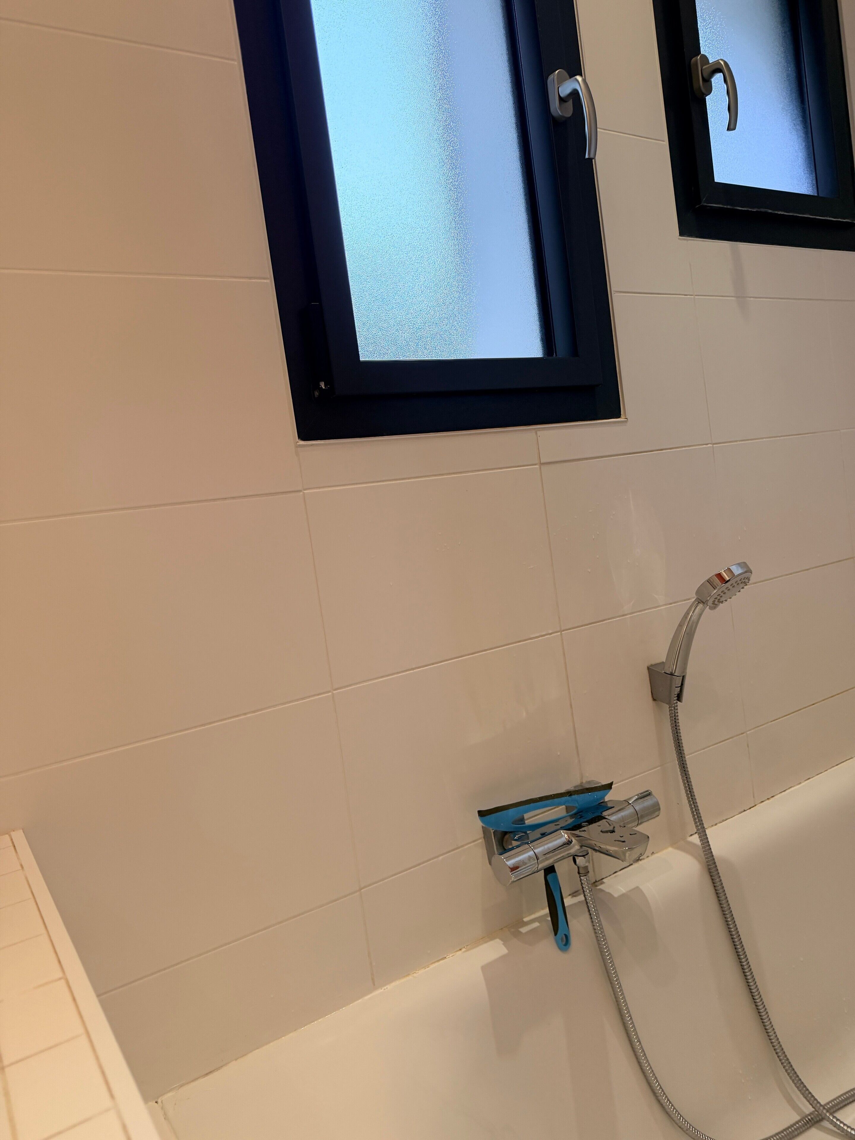 Shower, hair dryer