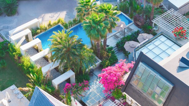 Zona de piscina en la azotea con palmeras, un invernadero de cristal y mobiliario exterior.