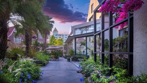 A courtyard with potted plants, a pathway, and a building with large windows and balconies.