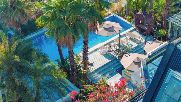 A rooftop pool with palm trees, a wooden deck, and a glass balustrade.